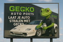 Gecko car care