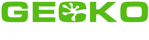 Gecko-car-care