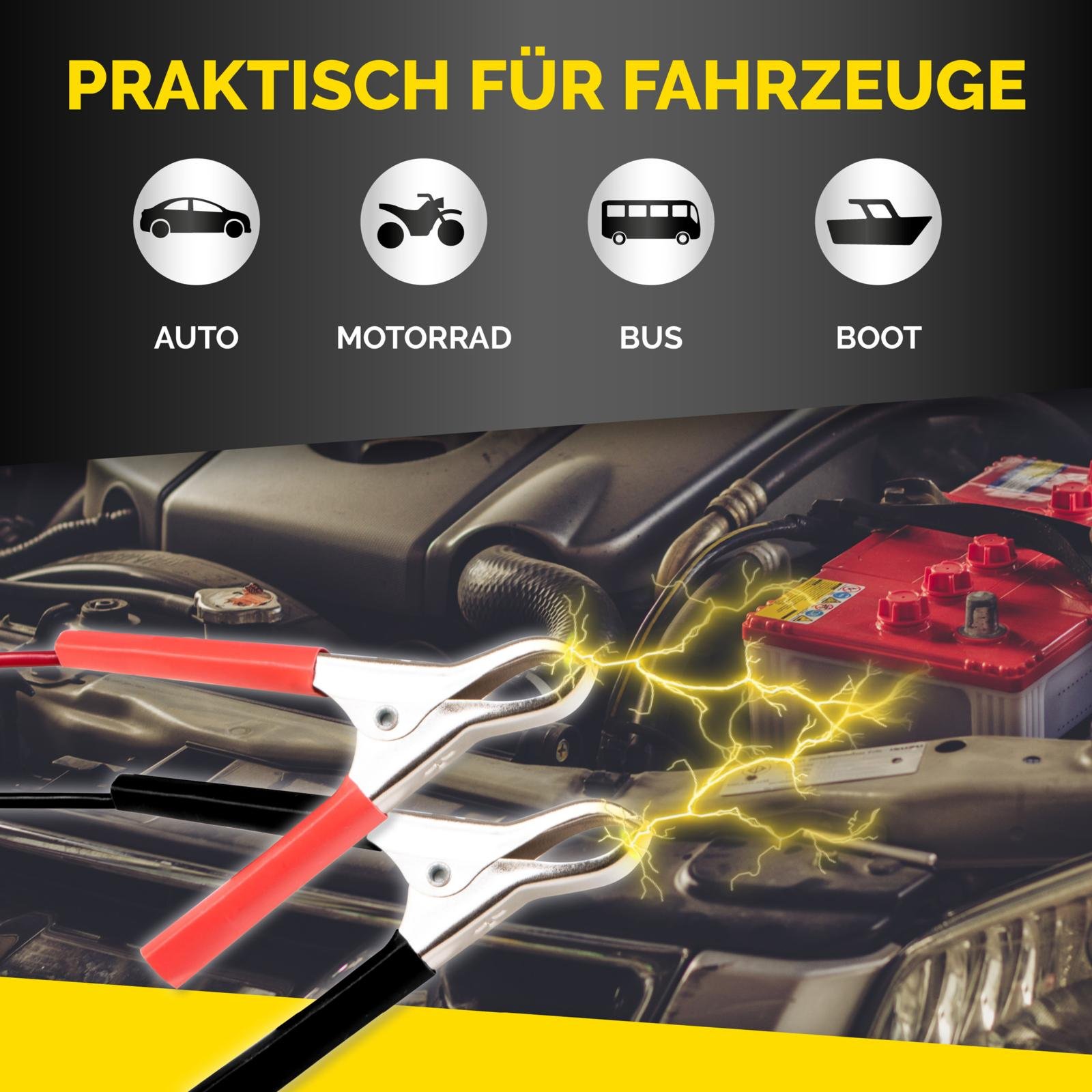 DUNLOP Smart Lader 1A – 12V Autoaccu (druppellader)